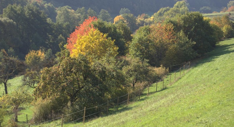 Wandern im Hunsrück Wandern im Hunsrück