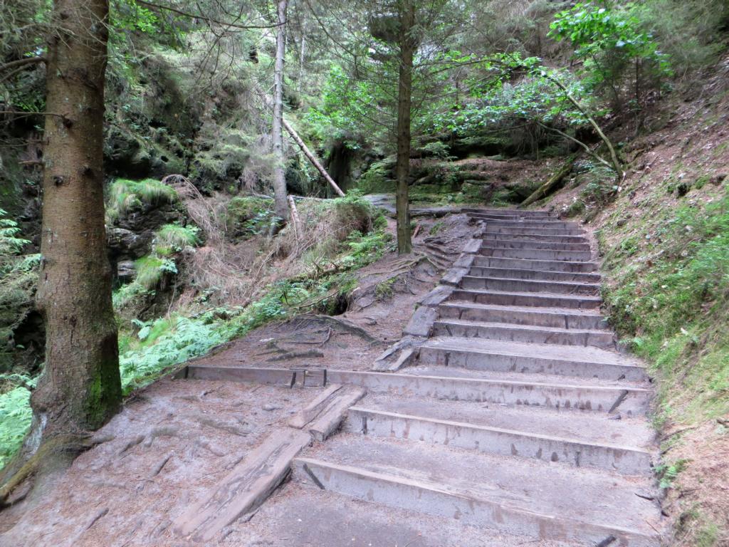 Waldwege zur Bastei