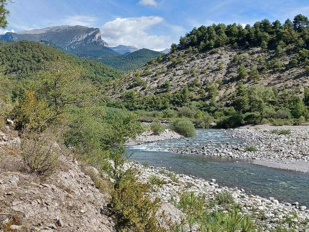 Der Fluss Rio Cinca führt nicht allzu viel Wasser