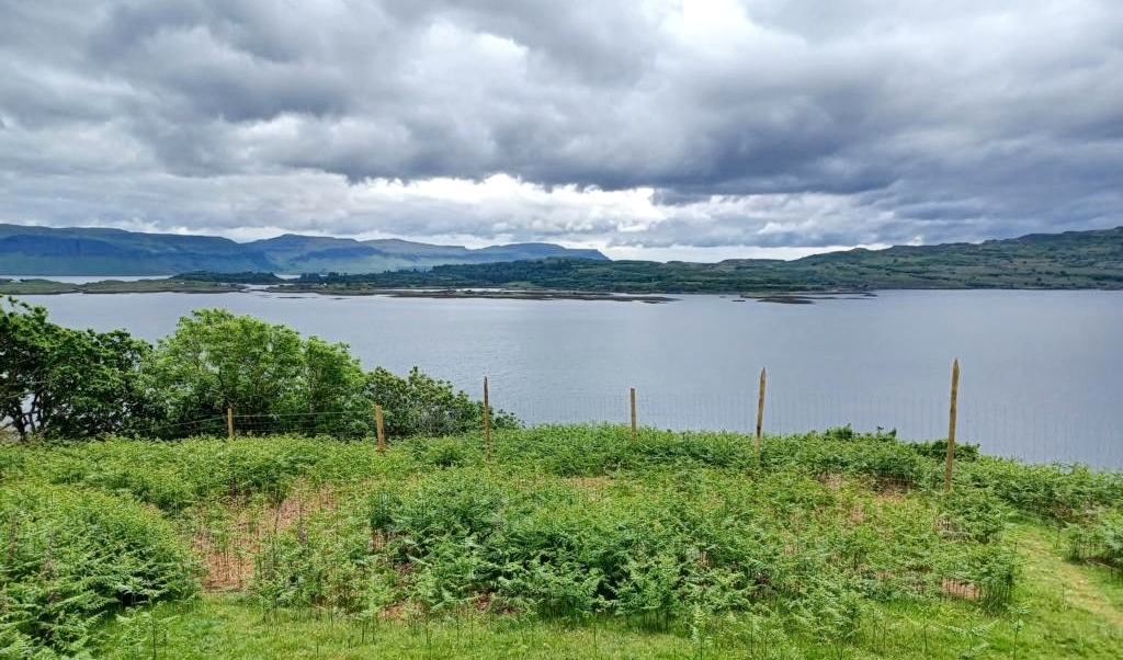 Blick auf Loch Peallach