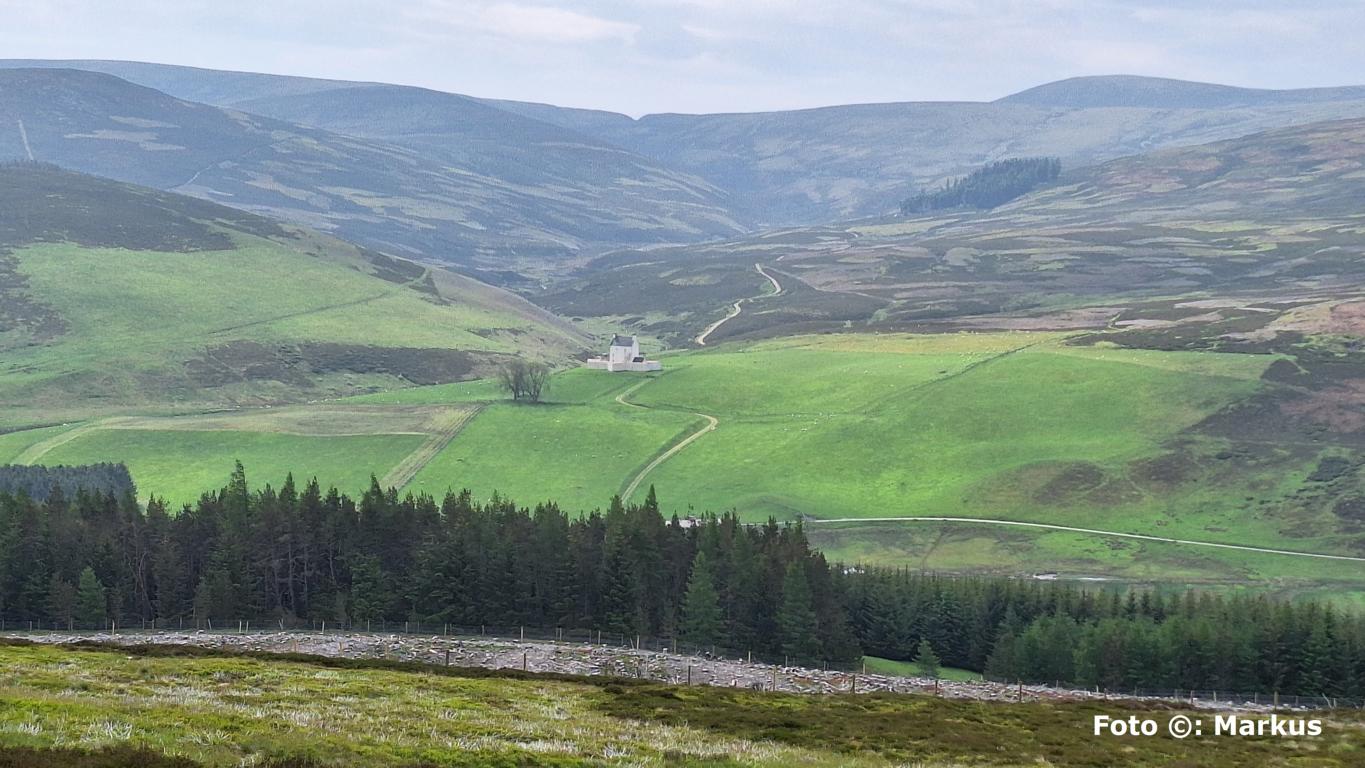 Landschaft in der Speyside