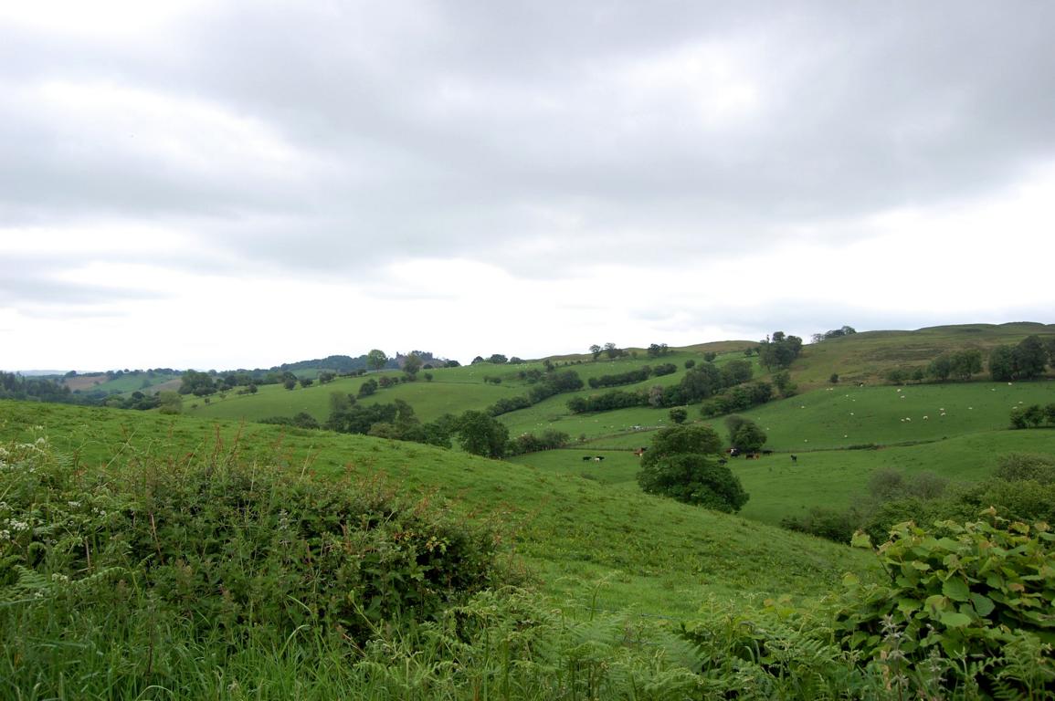 Walisische Landschaft