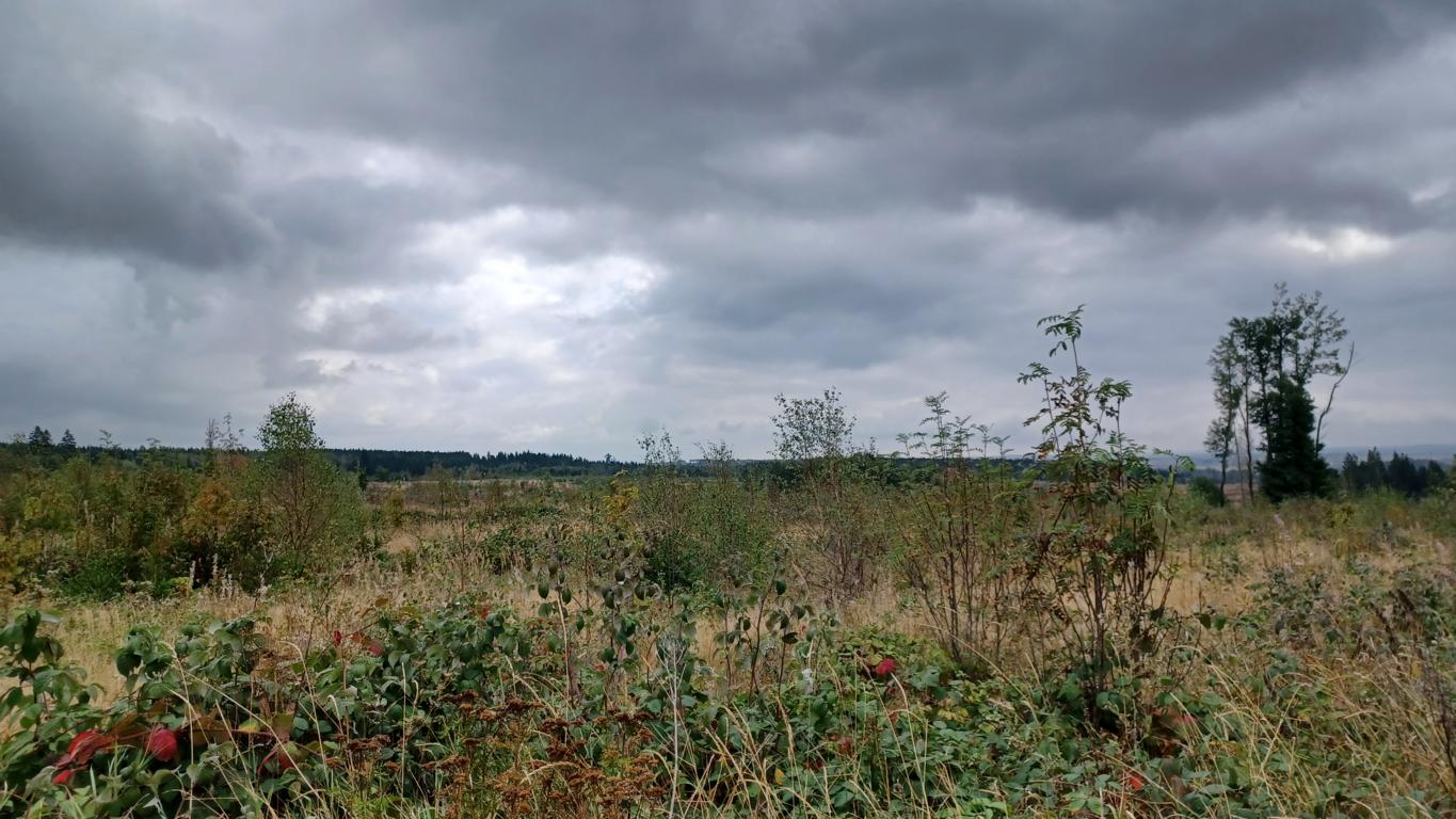 Schlechte Wetteraussichten Schlechte Wetteraussichten