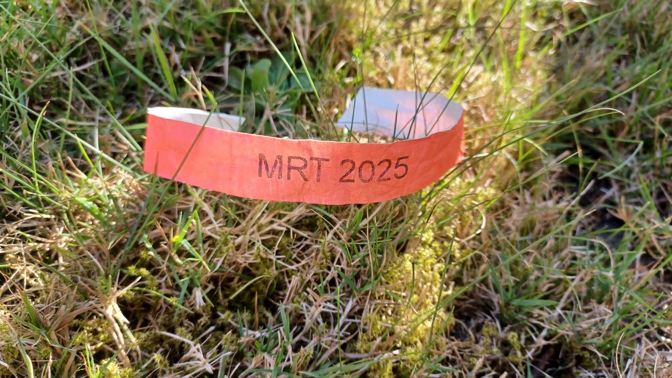 Armband MRT 2025