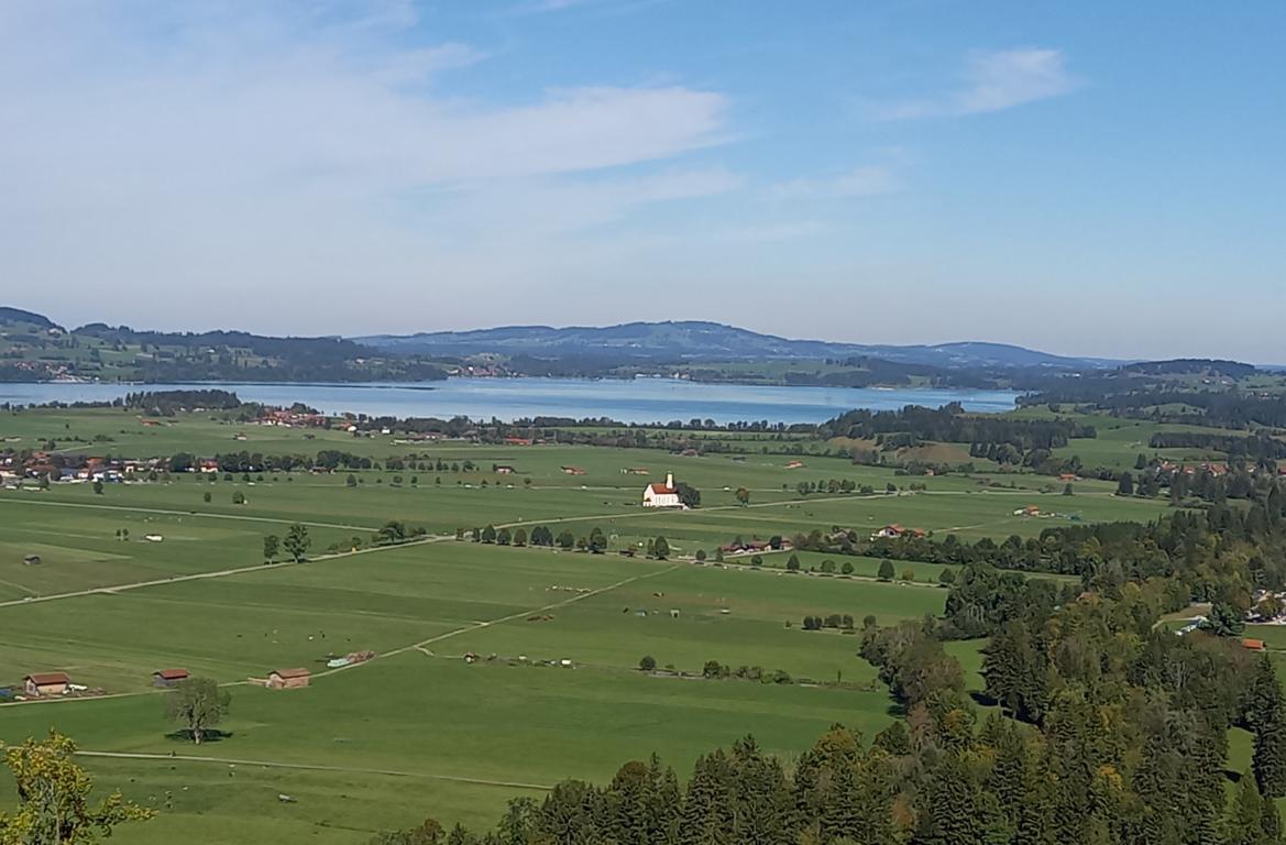 Blick auf den Schwansee