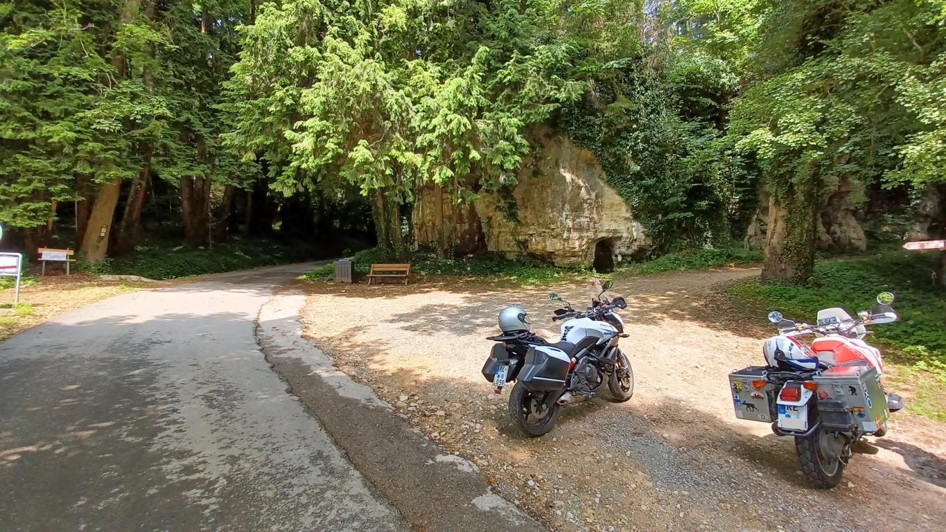 Zwischenstopp am Waldesrand