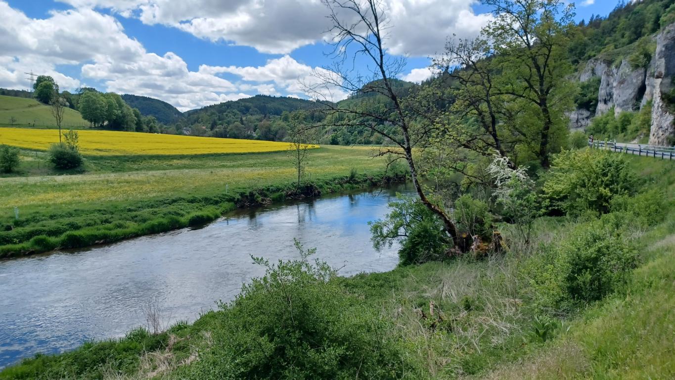 Auf kurvigen Straßen entlang der Donau Auf kurvigen Straßen entlang der Donau