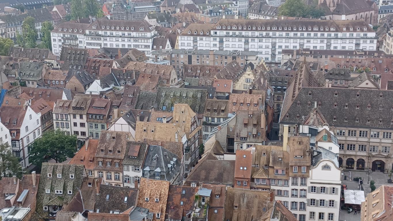 Blick vom Stra&szlig;burger M&uuml;nster